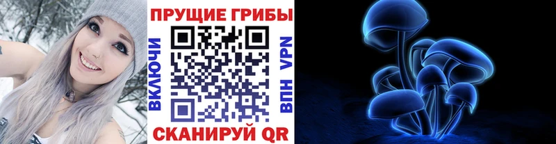 Псилоцибиновые грибы GOLDEN TEACHER блэк спрут сайт Дятьково где можно купить наркотик